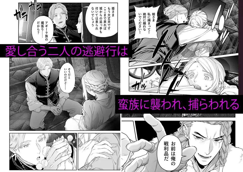 蛮族の花嫁~堕ちた姫君~