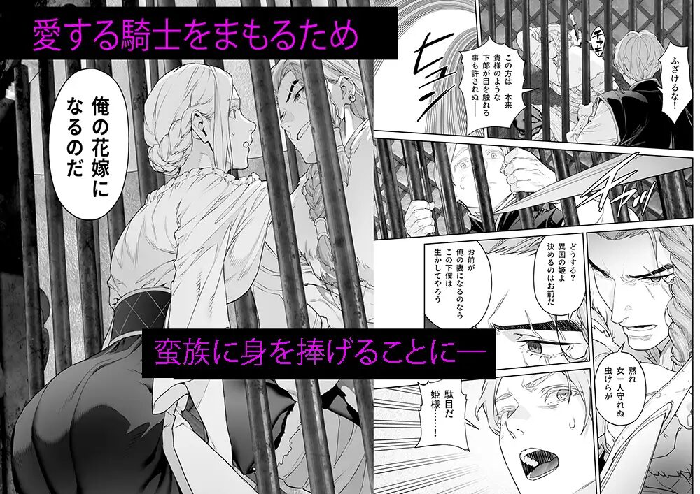 蛮族の花嫁~堕ちた姫君~